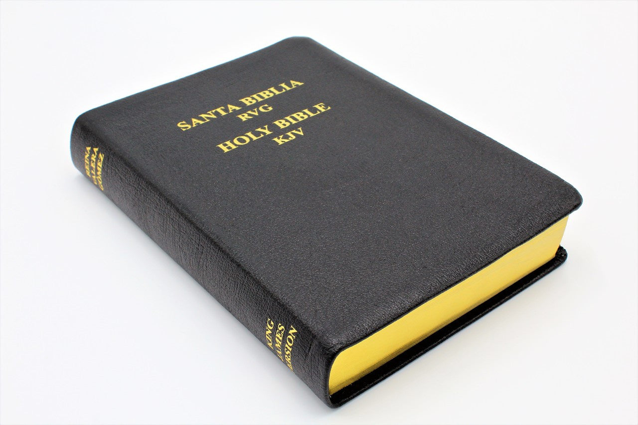 Spanish and English: Reina-Valera Gomez 2010 Bilingual Bible